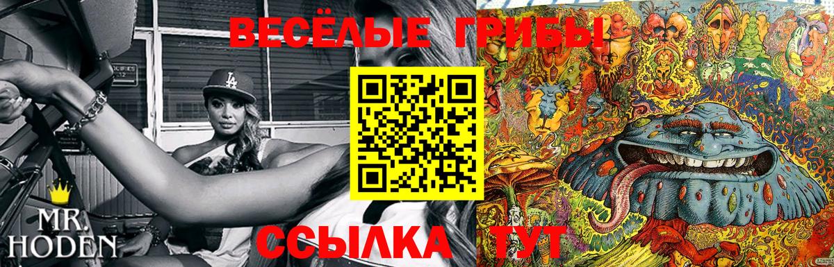 Галлюциногенные грибы Cubensis Энгельс