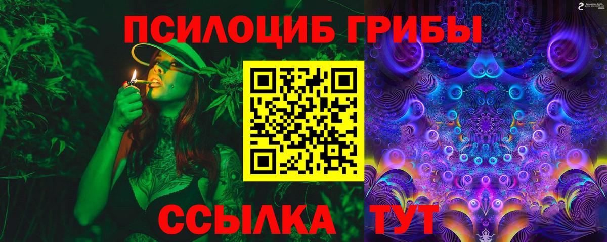 Псилоцибиновые грибы Psilocybine cubensis  Вход с VPN  купить наркоту  Псилоцибиновые грибы Psilocybe  Энгельс 